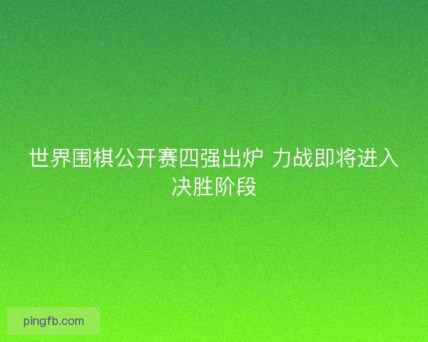 世界围棋公开赛四强出炉 力战即将进入决胜阶段